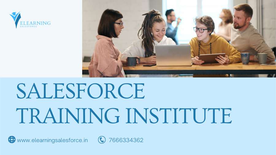 SALESFORCE TRAINING INSTITUTE (2)