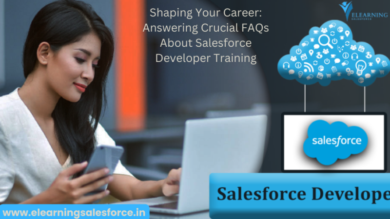 Shaping Your Career: Salesforce Developer Training