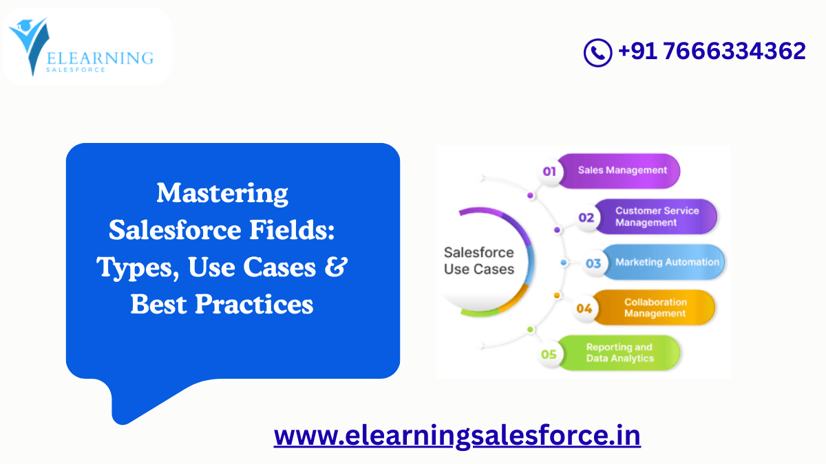 You are currently viewing Mastering Salesforce Fields: Types, Use Cases & Best Practices